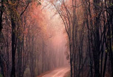 非凡娱乐：【足球扫盘】3.31保加利亚足球乙级联赛比分预测_今日推荐1场.