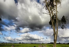 [欧冠开场哨]诺伊尔：拜仁的破纪录者.