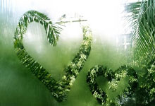 战巴林队前，伊万重申：目标就是小组前四京报体育.